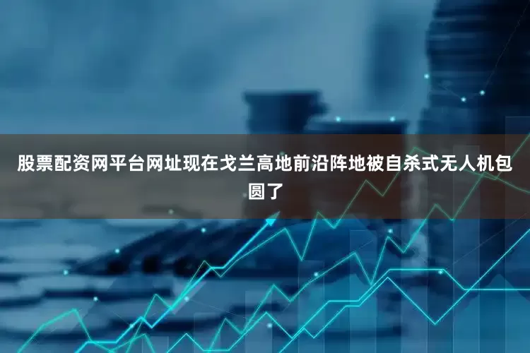 股票配资网平台网址现在戈兰高地前沿阵地被自杀式无人机包圆了