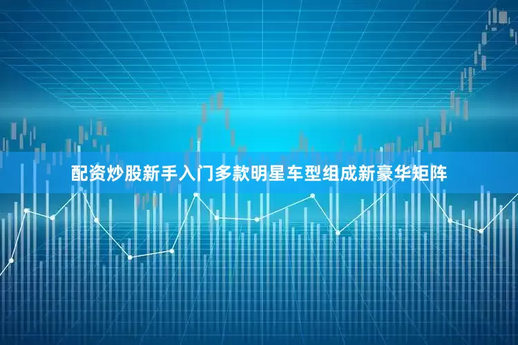 配资炒股新手入门多款明星车型组成新豪华矩阵