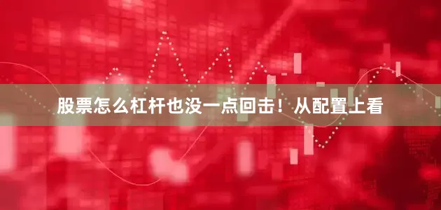 股票怎么杠杆也没一点回击！从配置上看